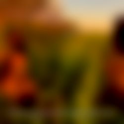 Amanda Pascoaleto photo