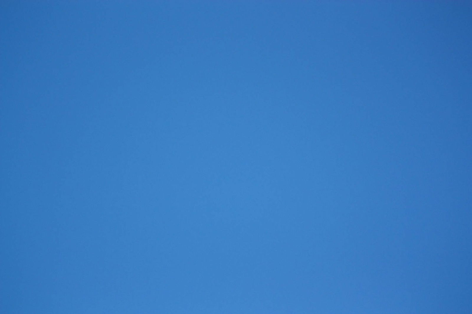 Redheaded Jess photo