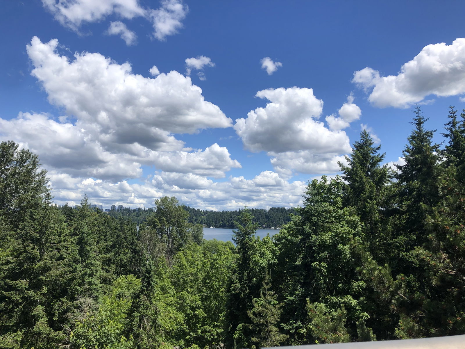 faerie euphoria ✩ photo