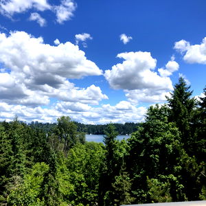 faerie euphoria โฉ photo