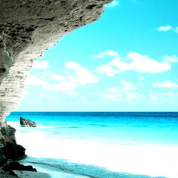 The New Captain photo