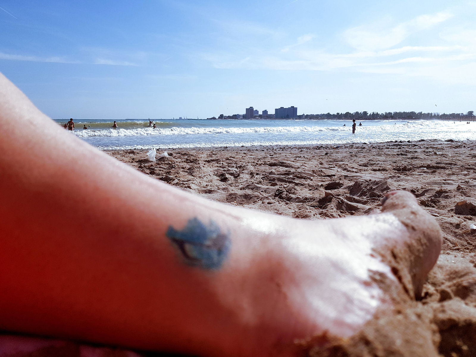 PixelToes Alexa photo