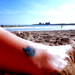 PixelToes Alexa photo