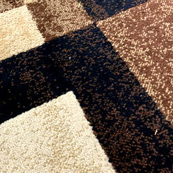 Marty Bird: OnlyFans Model