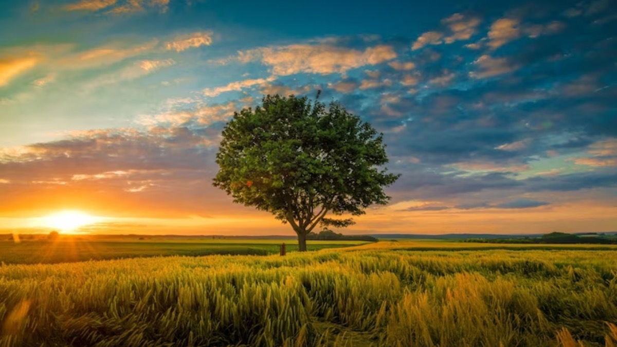 Mercedes Blanche photo