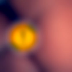 Bonnie Santana photo