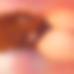 ๐ ๐๐๐ญ๐ก๐ซ๐ฒ๐ง ๐ธ๐ฅ photo