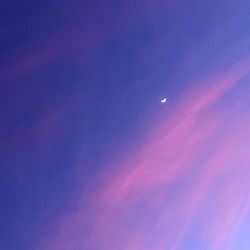 Cherry Blossom Sunset