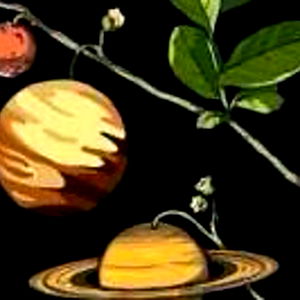 Space Princess photo