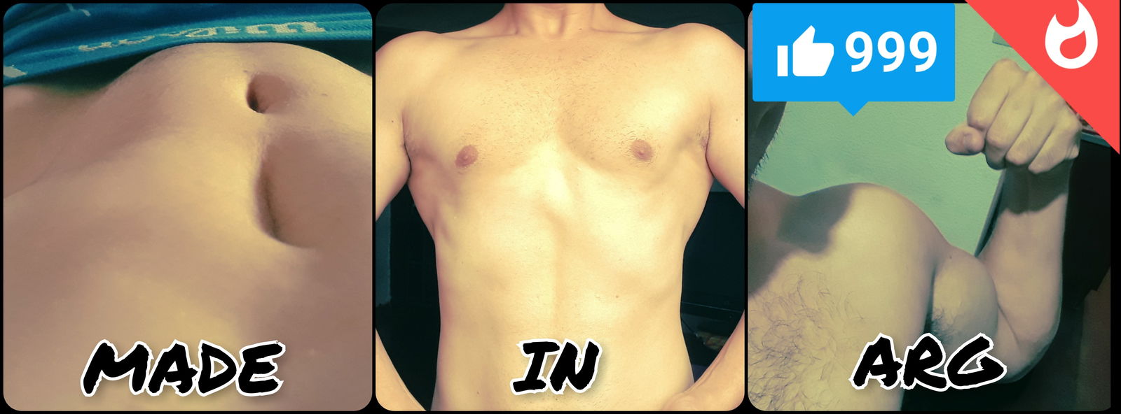 American White Cat photo