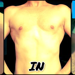 American White Cat photo