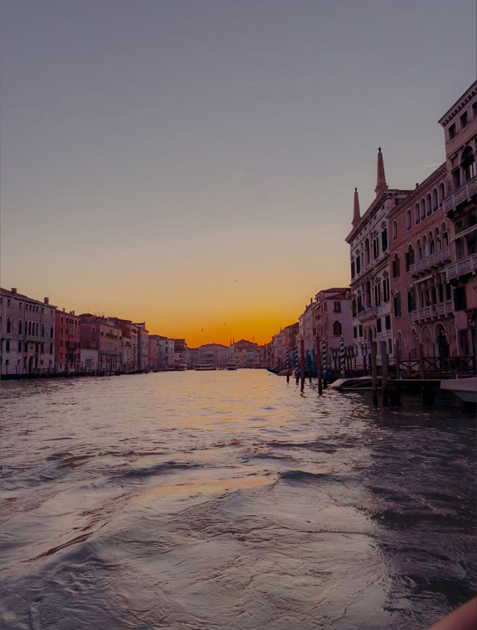 The 2004 Italian BWC photo