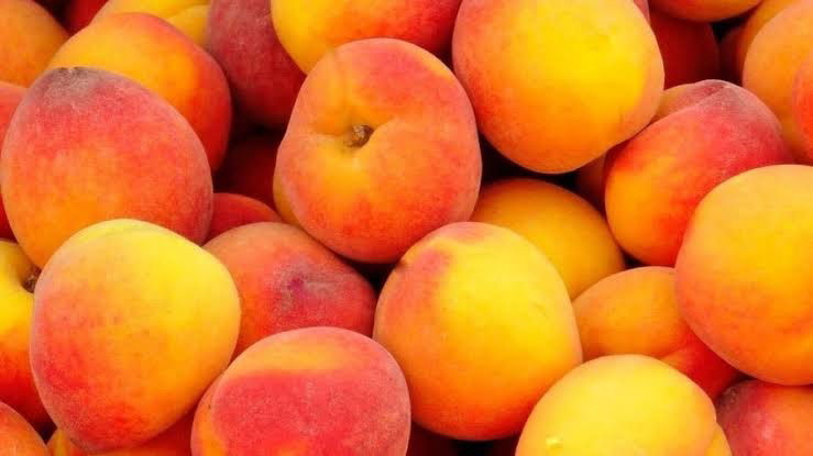 (๑˃̵ᴗ˂̵) ♡ photo