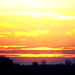 Serene Sunset with Silhouette