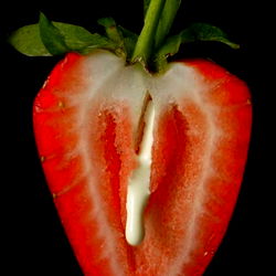 The Flirty Siren photo