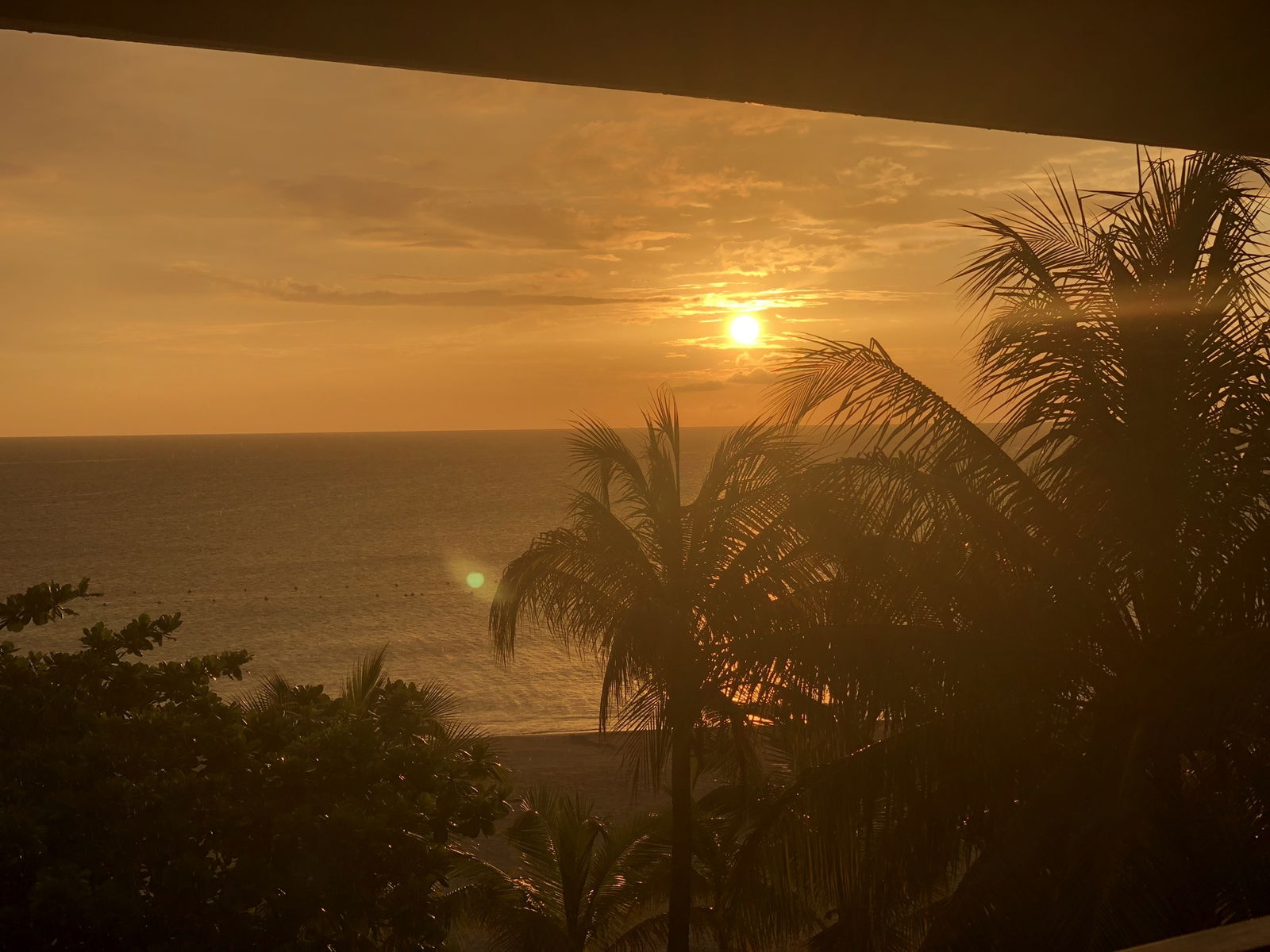 Capturing Brandi photo