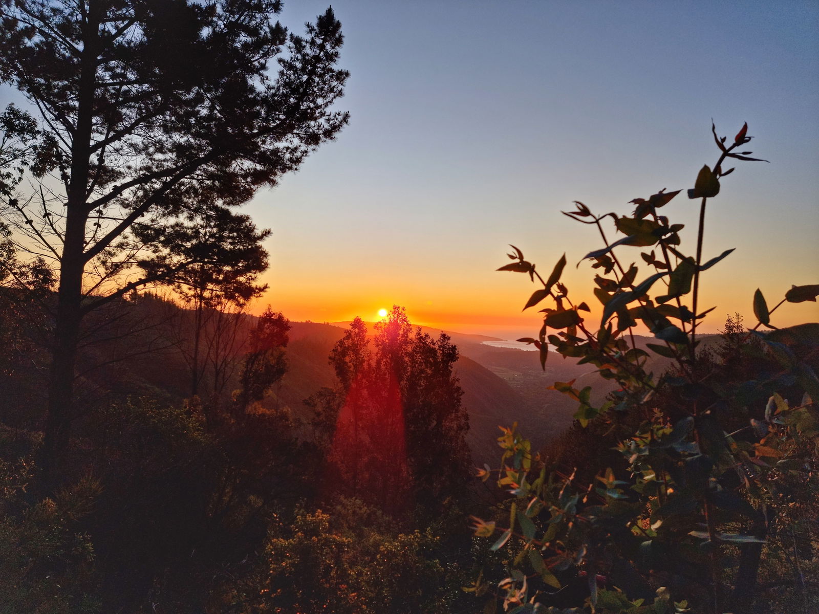 franciscalunars photo