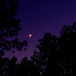 โจArtemisaโจ photo