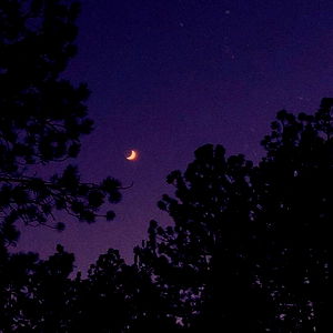 โจArtemisaโจ photo