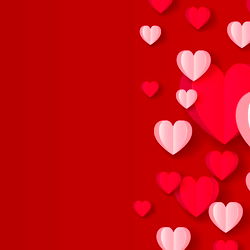 The bunny 🐰 photo