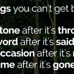 Motivational Quote on Tree