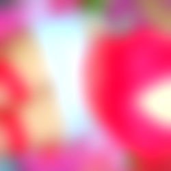 ๐บ The princess ๐บ photo