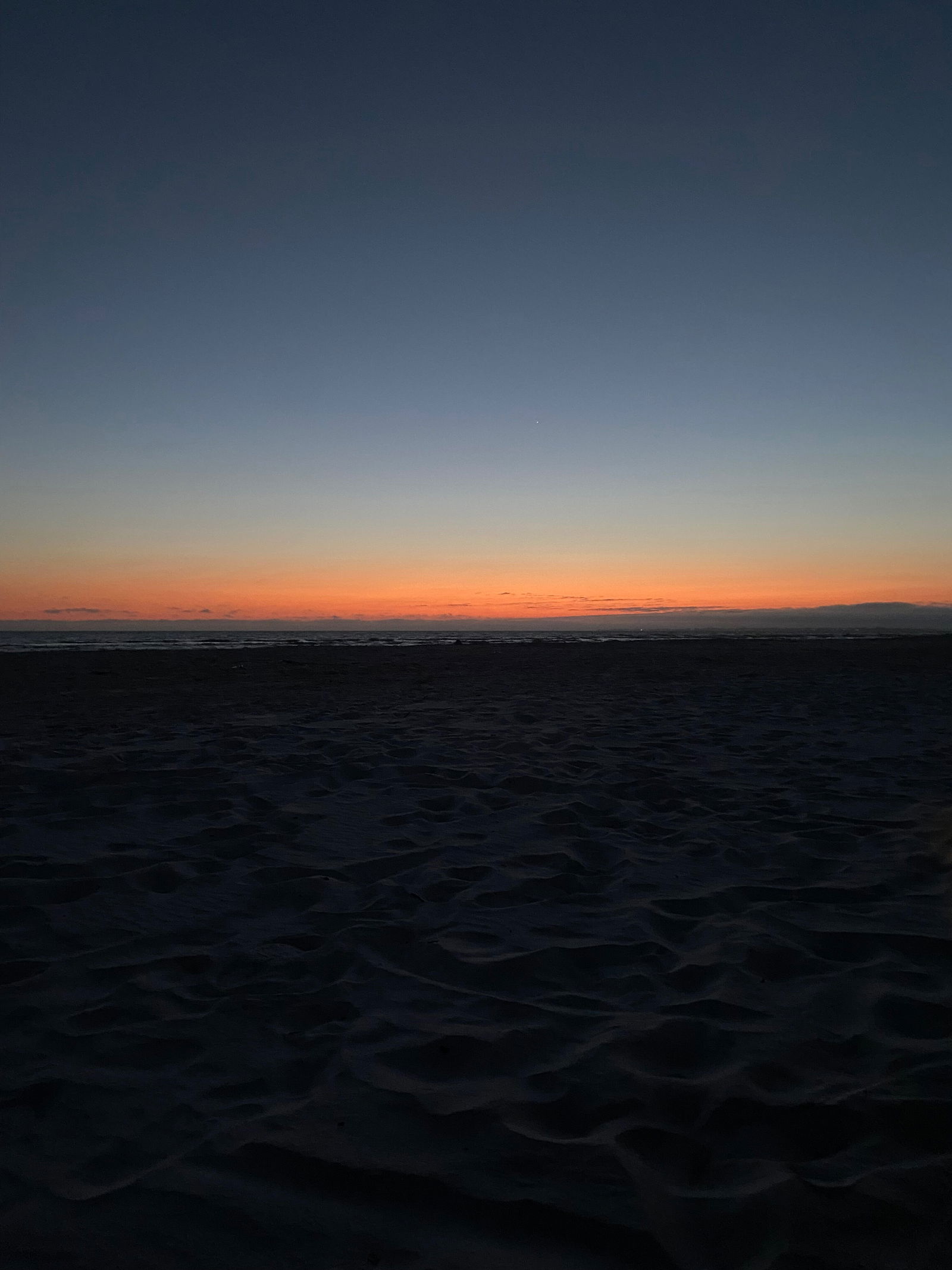 kitten 🎀🖤 photo