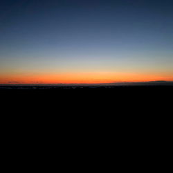 kitten ๐๐ค photo