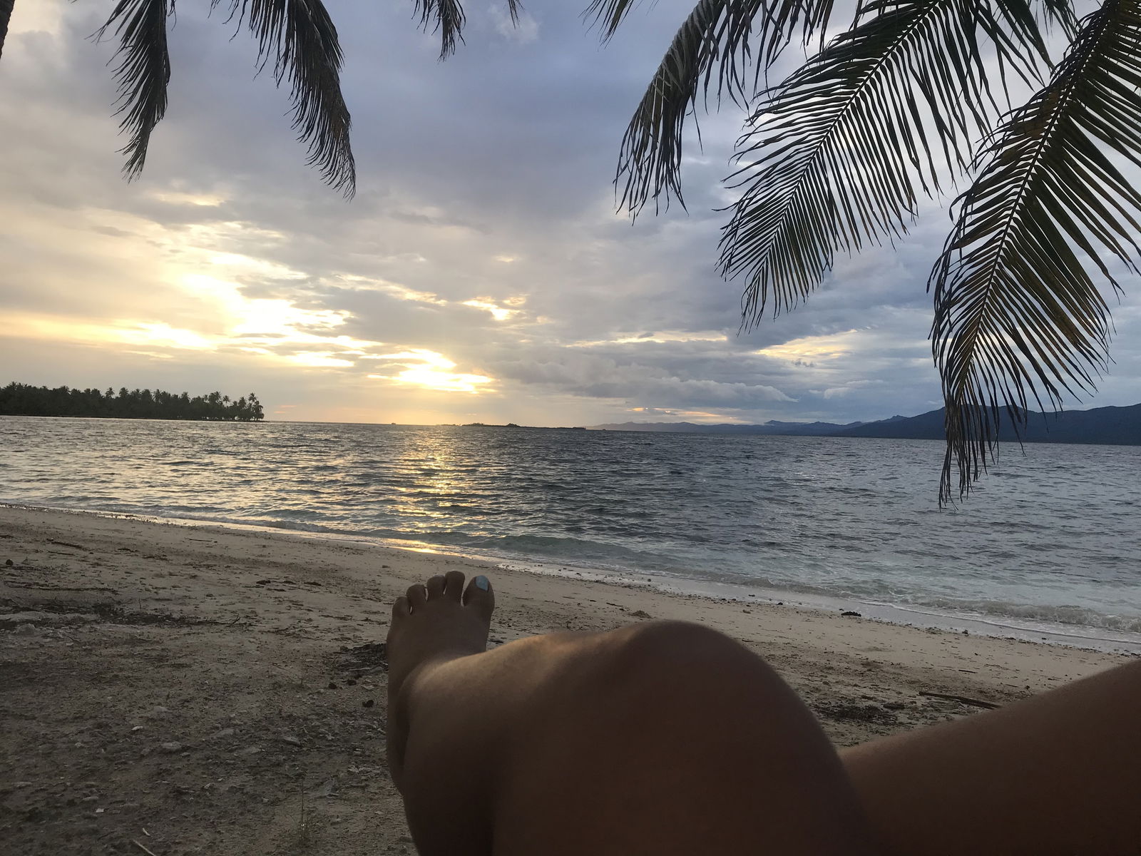 Andrea Castillo photo