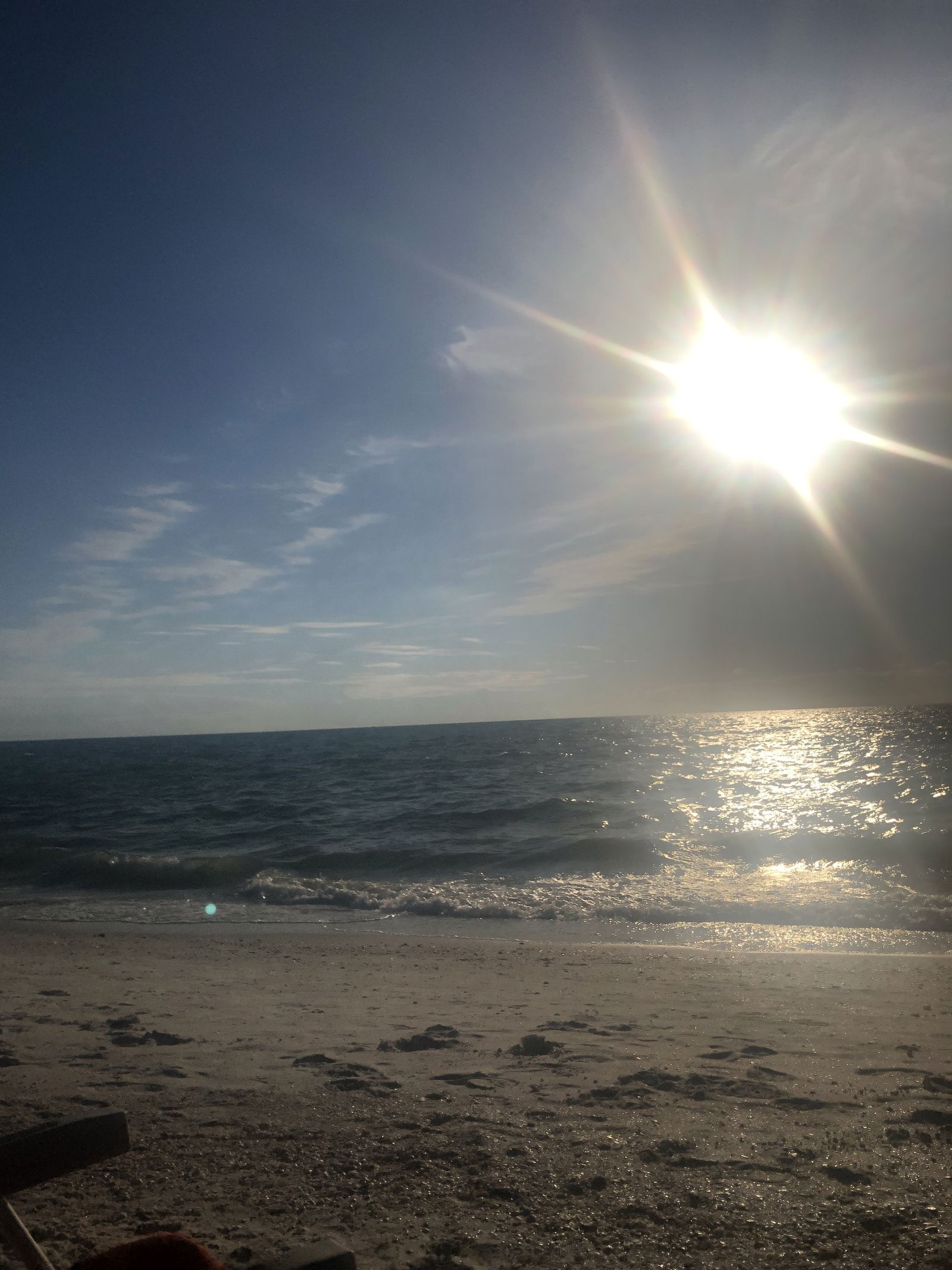 Dominique King photo