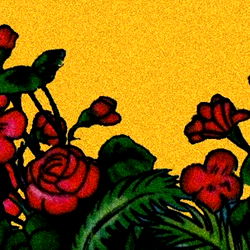 yaya โป they//them photo