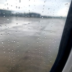 A Rainy Day at the Airport - A BonBon Story