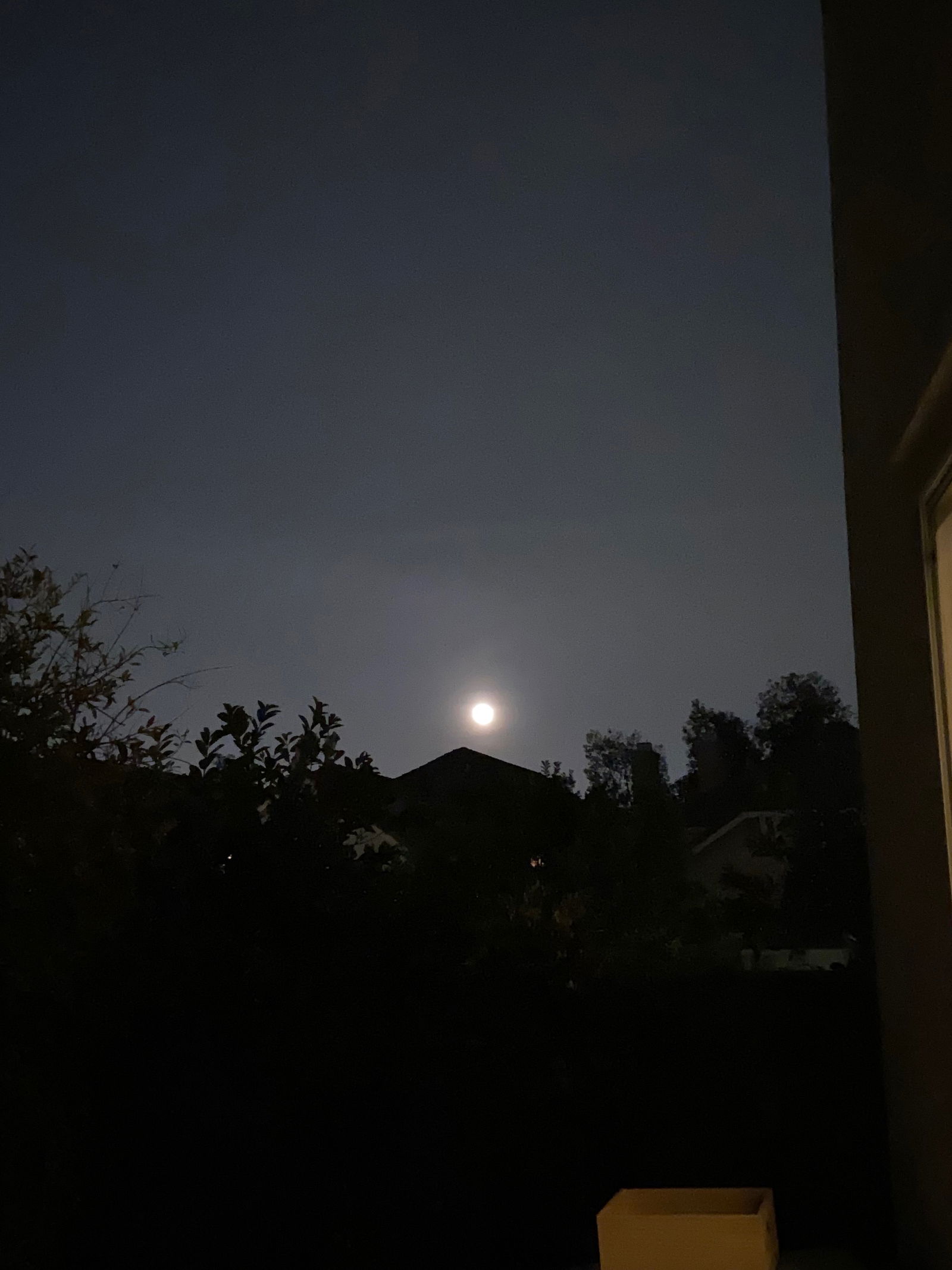 Strawberry Pocky photo