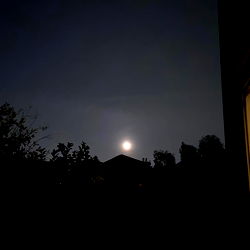 Strawberry Pocky photo