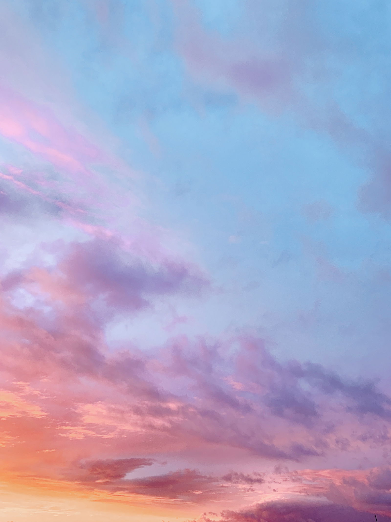 Peachyotter 🍑 photo