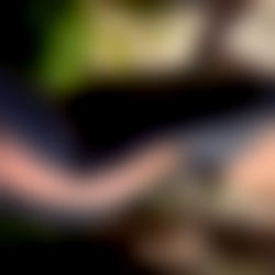 ๐๐จ๐๐๐๐ฌ๐ฌ ๐๐ข๐ฌ๐ญ๐ฒ ๐๐ข๐ฅ๐ข๐ญ๐ก photo