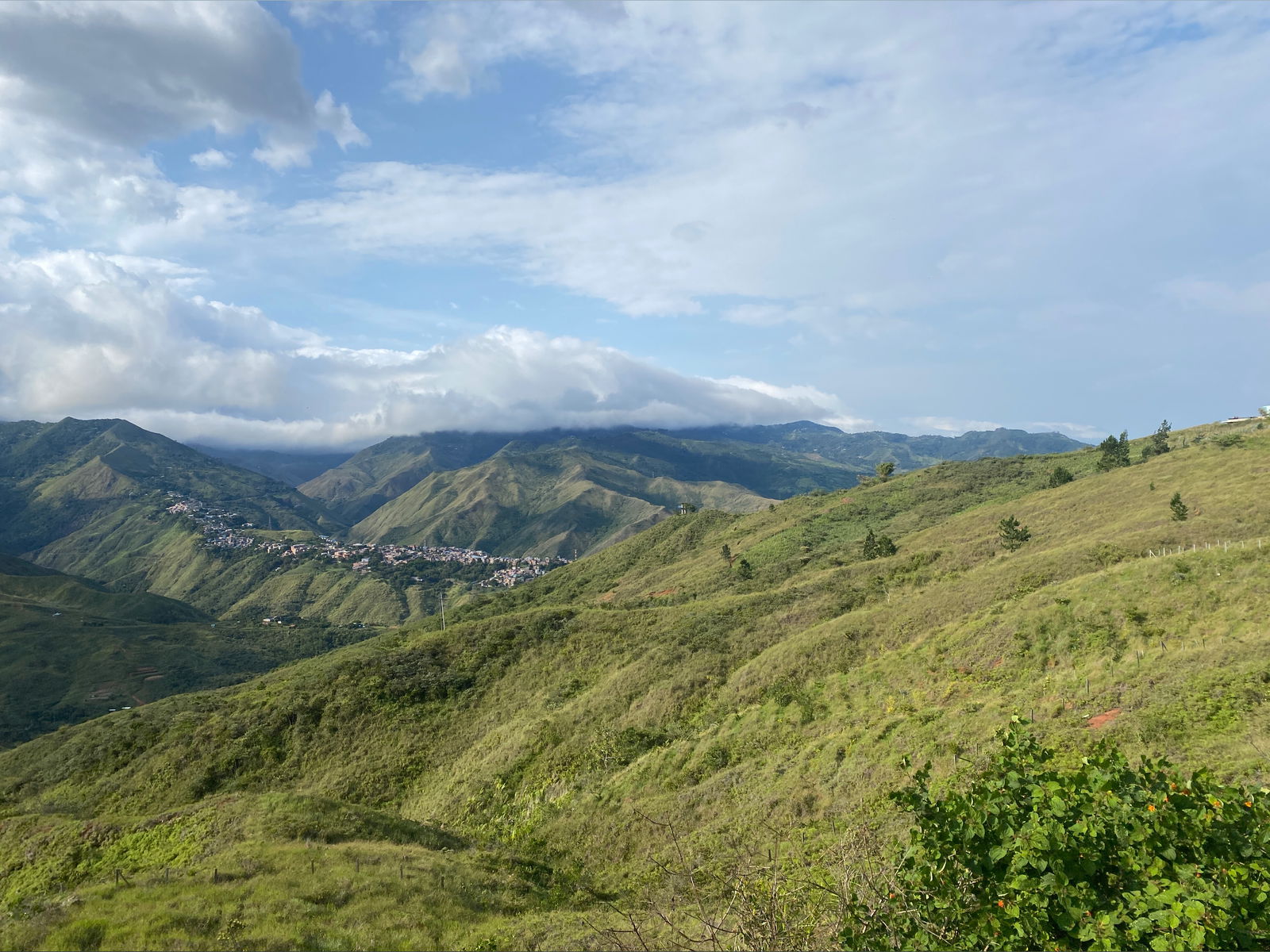 Ángely Bilboa photo