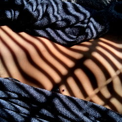 Alessandra DeLuca (Alessa) photo