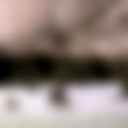 spirituals1ut ⋆ ˚。⋆ ✧‧. ˚ photo