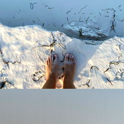 The Goddess Venus photo