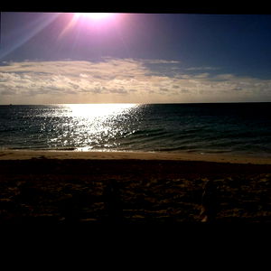 Drizella Kendall photo