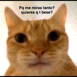 Adolfollรณn photo