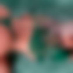 Chanelie Marie photo