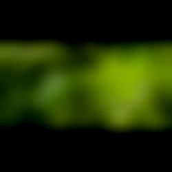 🌿 Vivian Greene 🌿 NO PPV ⚔️ photo