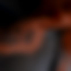 Babbbbyyyy Nic ๐ต photo