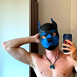 Fitness-Inspired Bulldog Mask