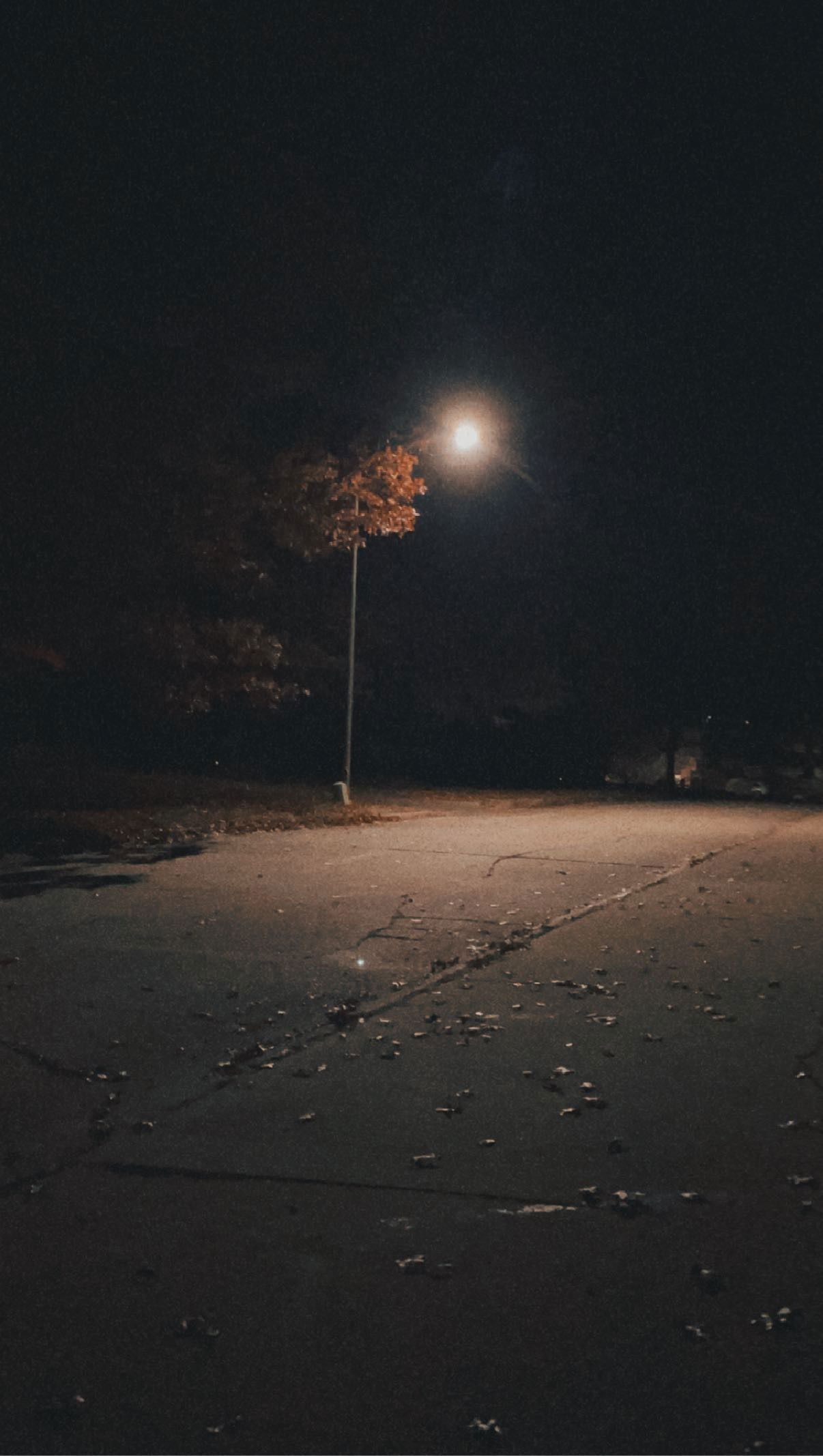 Amelia Jackson photo