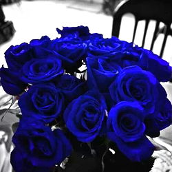 Tina ๐๐ฆ photo