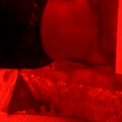 Veevee's Red Room Vibes