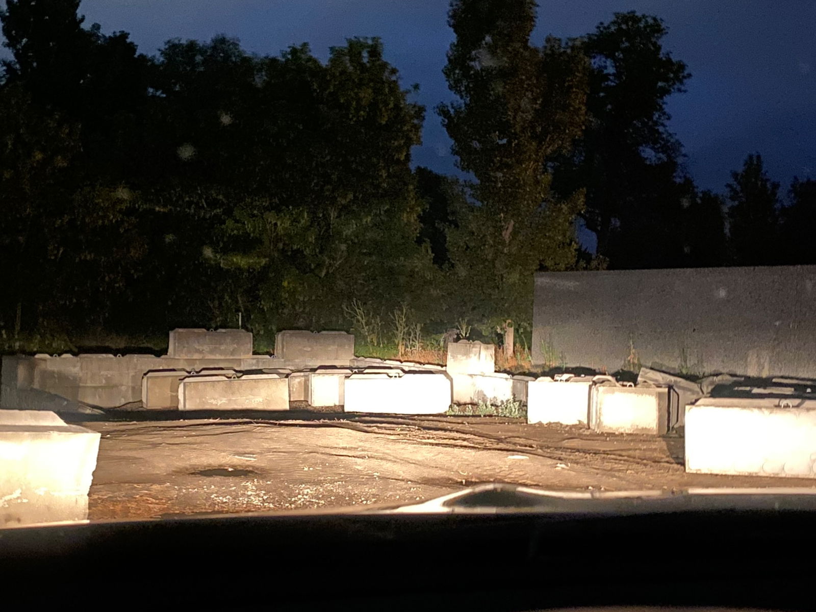 𝓔𝓵𝓵𝓮 photo